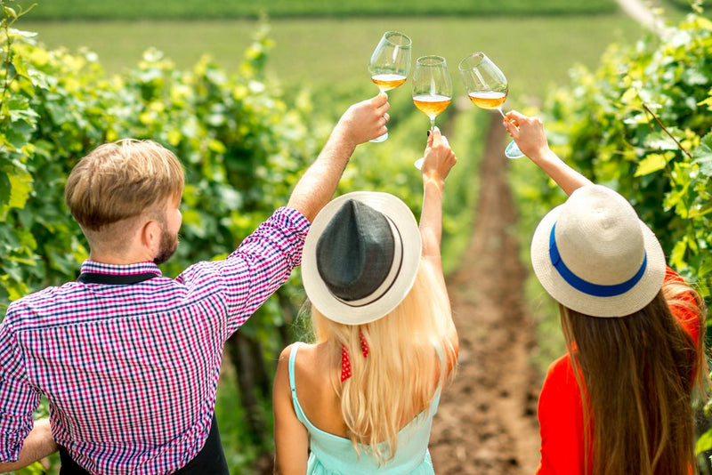 Half Day Winery Tour - Local Pickup From Mt Tamborine