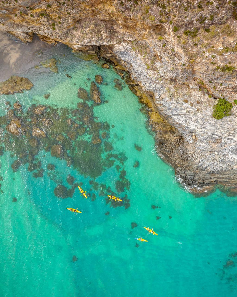 Rapid Bay Sea Kayaking Tour