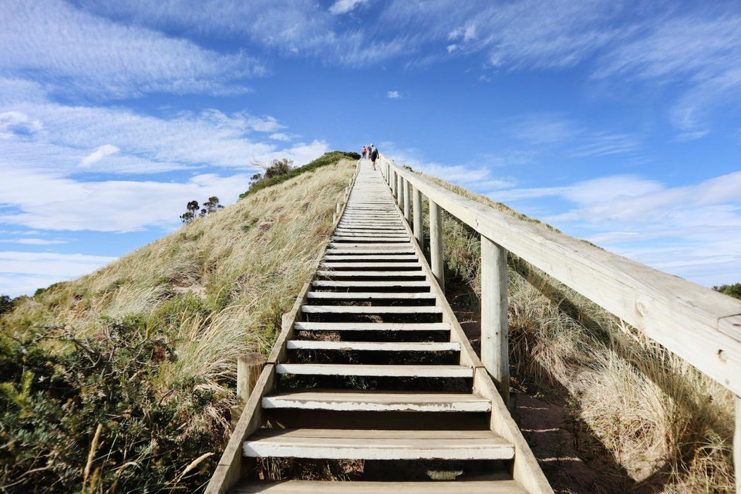 Shore Excursion - Bruny Island Day Tour