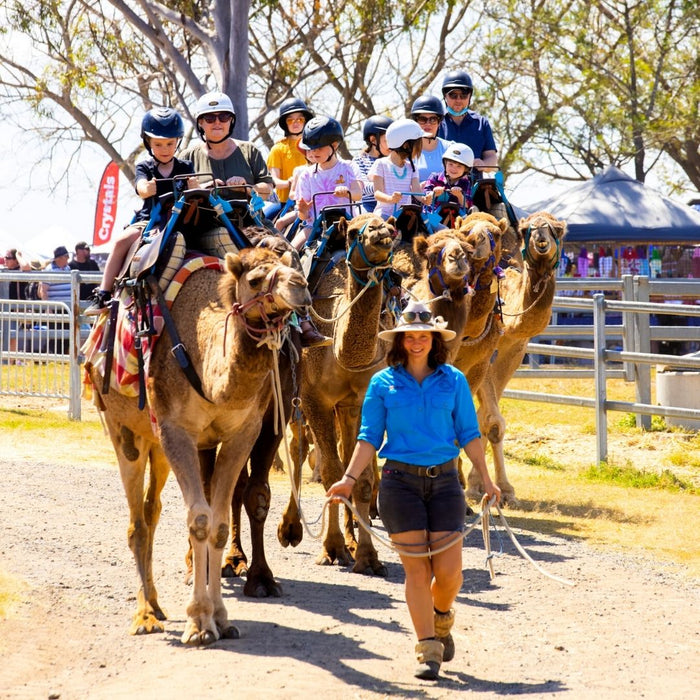 Camel Ride