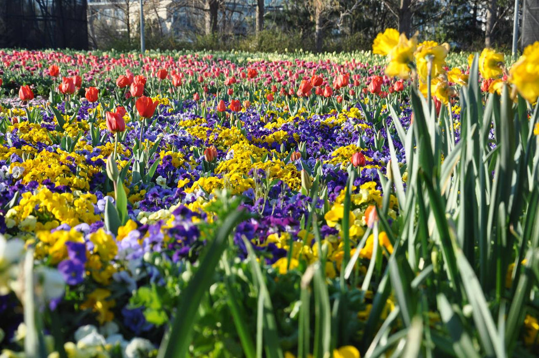 Floriade Tour