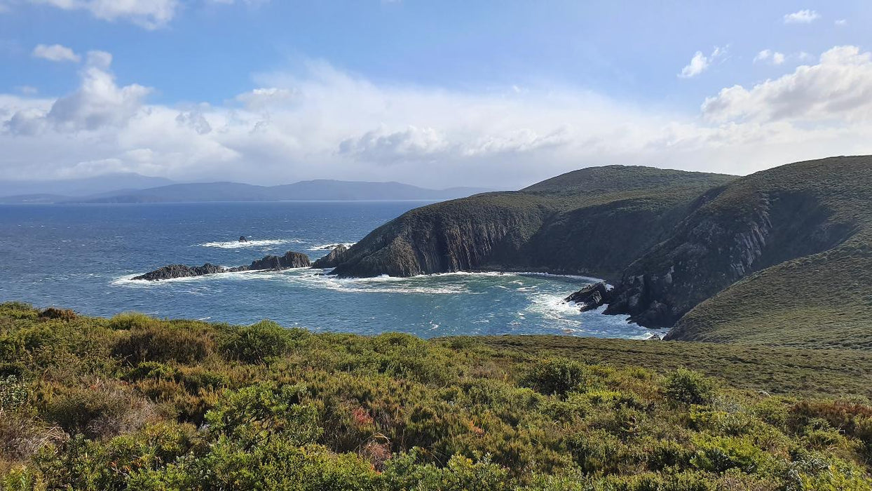 Bruny Island Day Tour