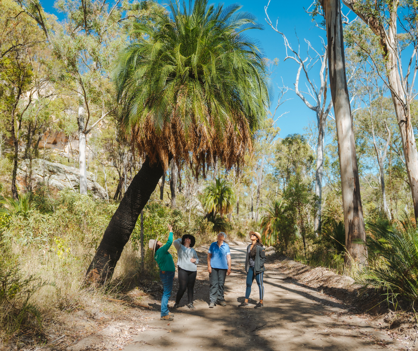 Discover Carnarvon Ranges