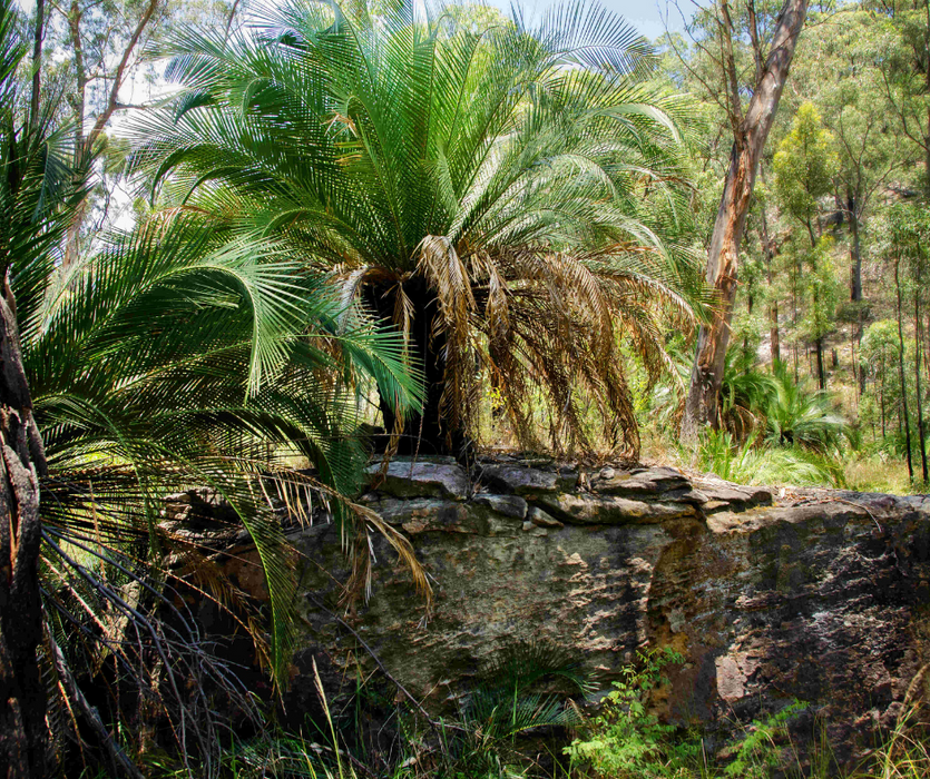 Discover Carnarvon Ranges