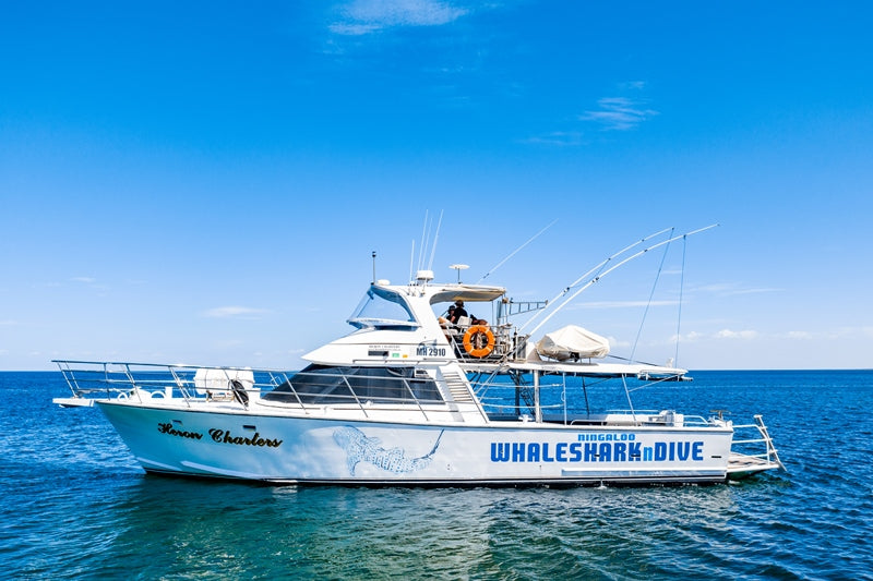 Whale Shark Adventure Swim Exmouth