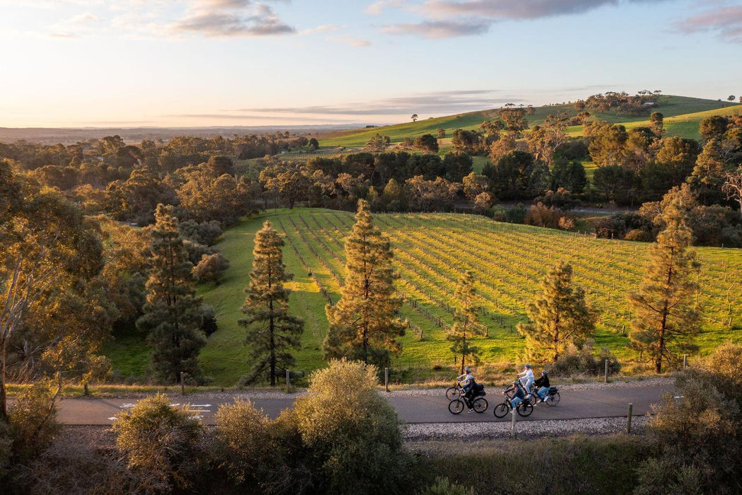 'Experience Barossa' Gourmet Food & Wine E-Bike Tour