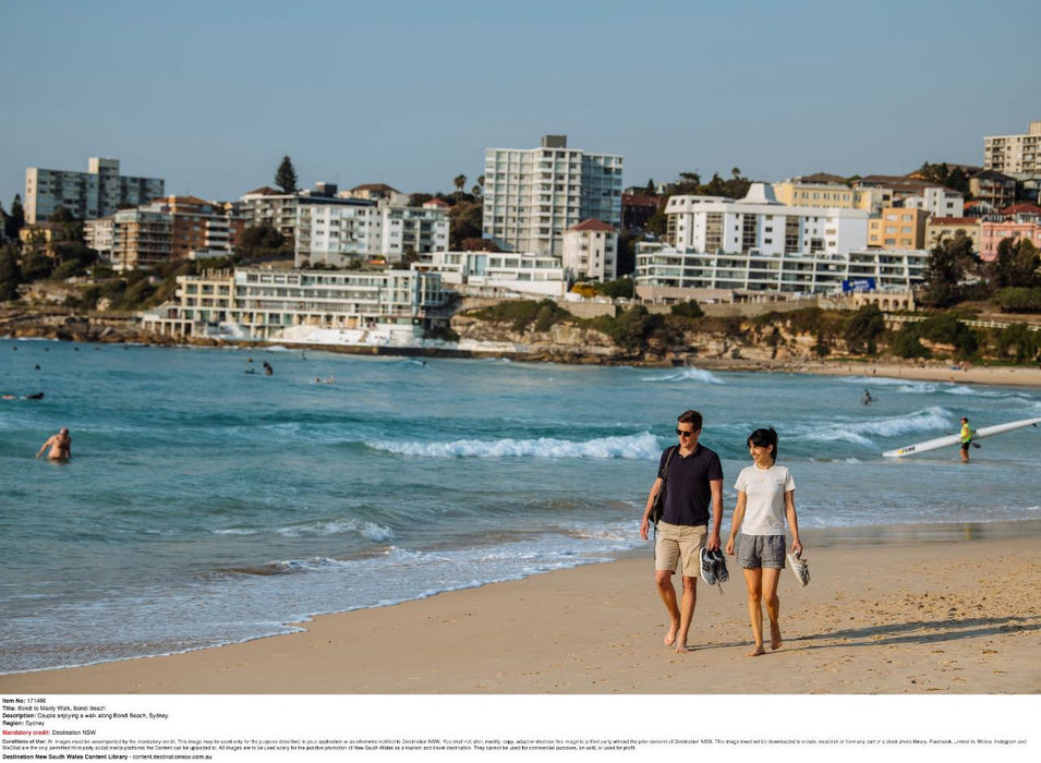 Sydney City Highlights Half Day Morning Private Charter Tour