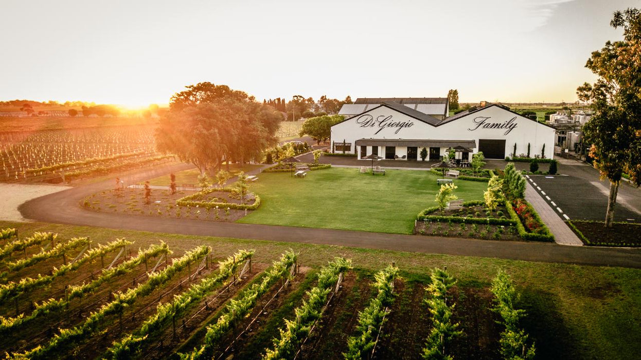 Wine Flight With Six Bites At Digiorgio Family Wines