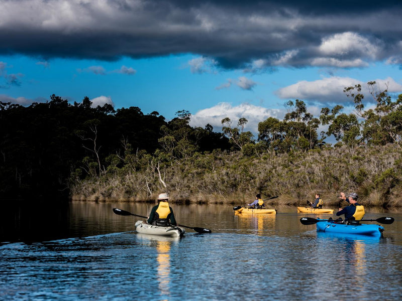 Huon River Morning Tour