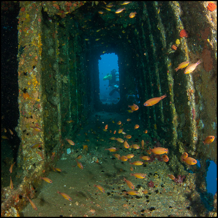 Ex-Hmas Brisbane Double Dive