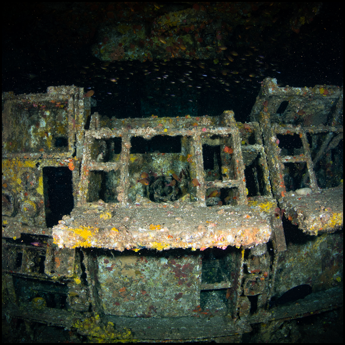 Ex-Hmas Brisbane Double Dive