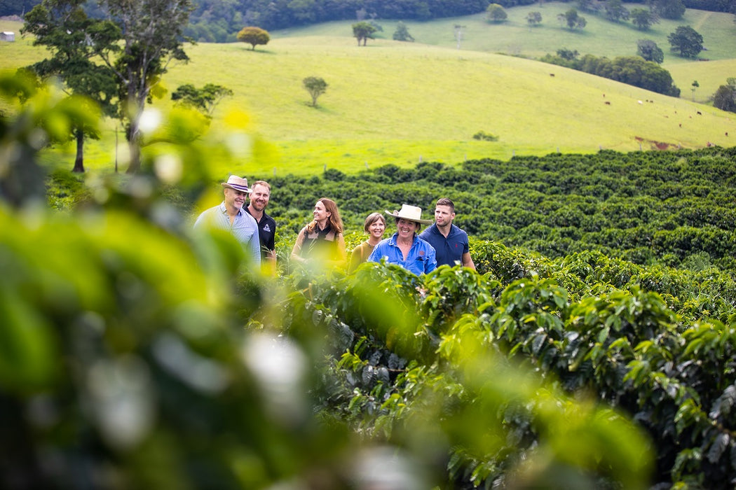 Private Cairns Tablelands Tasting Tour