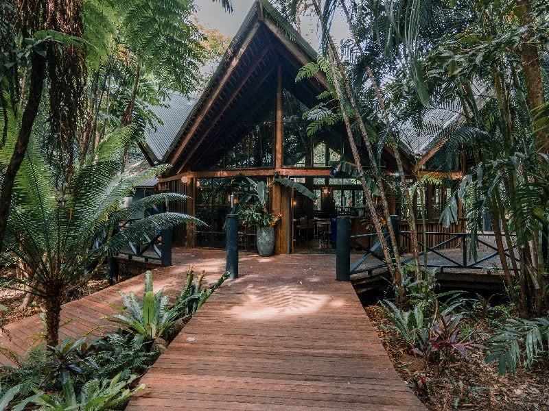 Jungle Stopver At Ferntree Rainforest Lodge