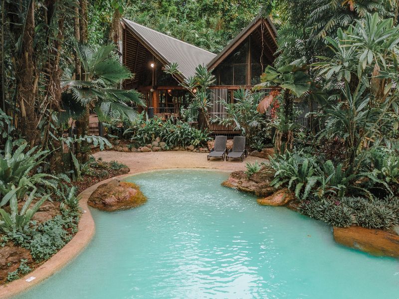 Jungle Stopver At Ferntree Rainforest Lodge