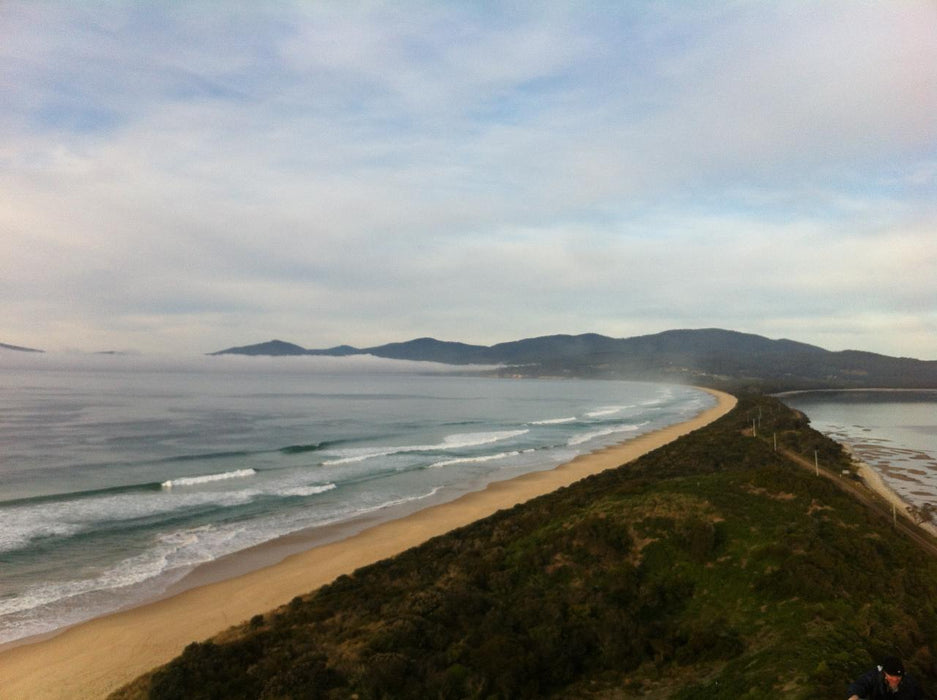 Family Bruny Island Discovery Tour