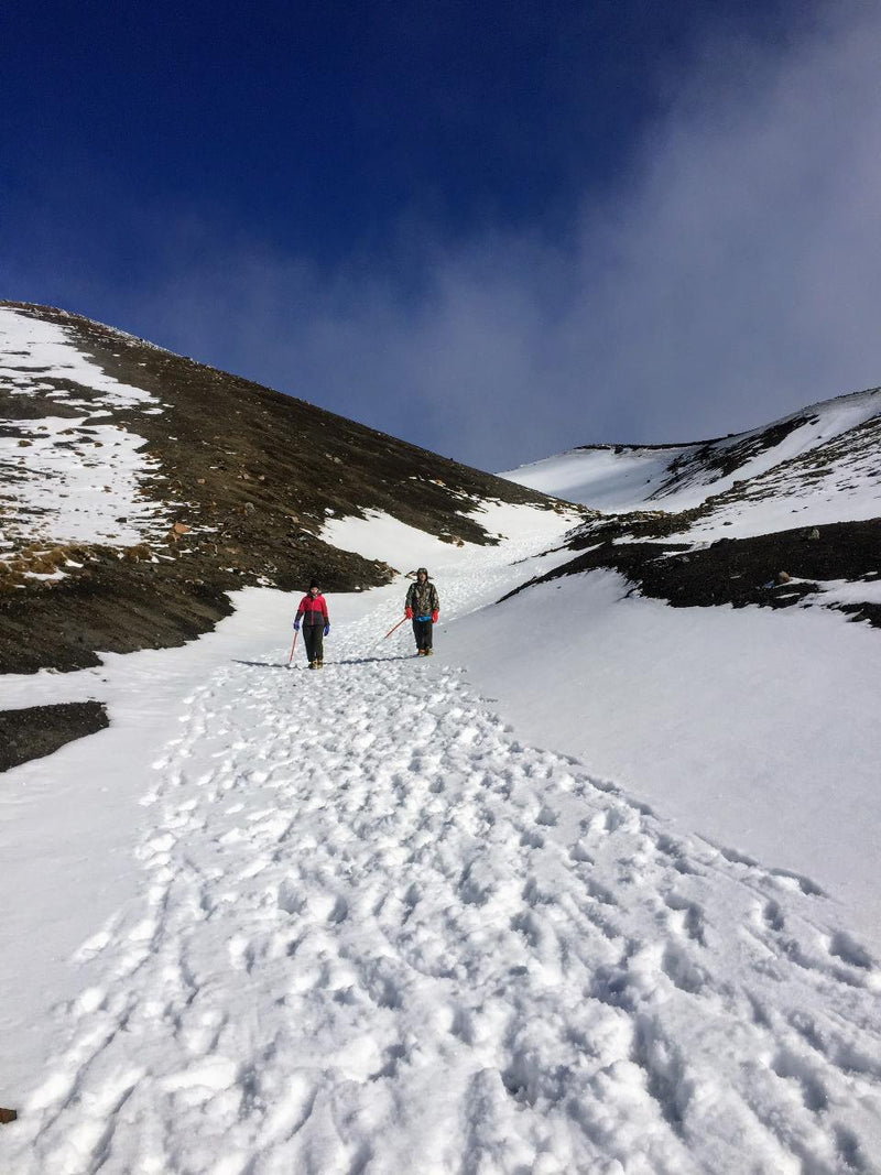 Mt Buller Snow Day Tour