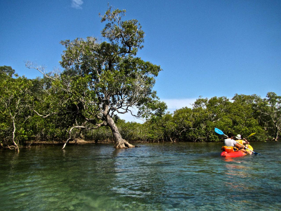 Double Kayak Rental In Brunswick River