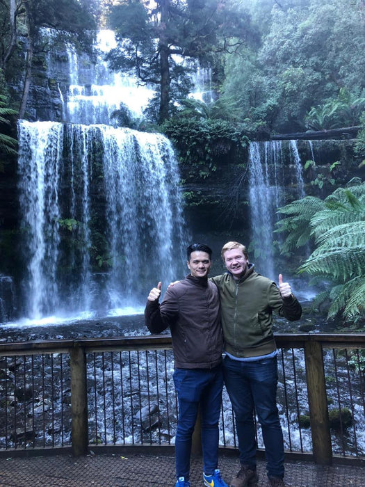 Mt Field Russell Falls, Bonorong, Richmond & Mt Wellington Day Tour