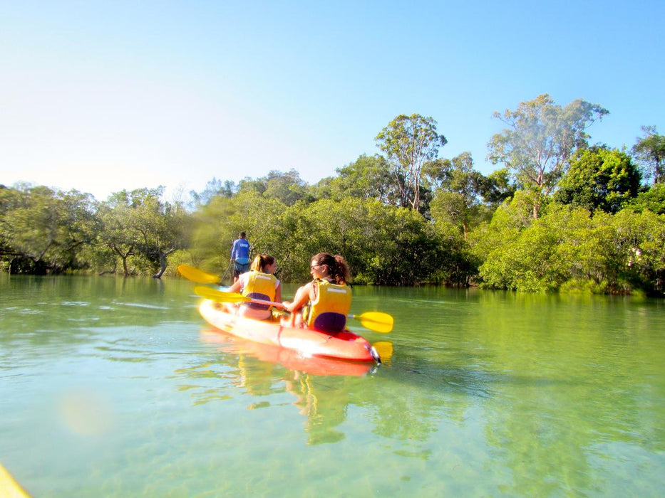 Brunswick River Nature Kayak Tour