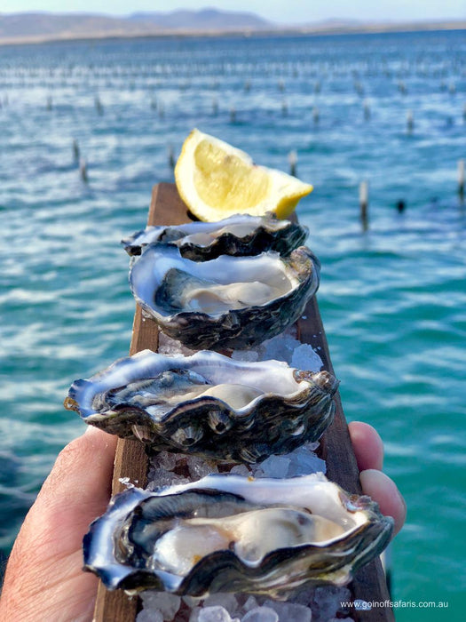 Coffin Bay Oysters, Ocean And Nature Tour - Full Day