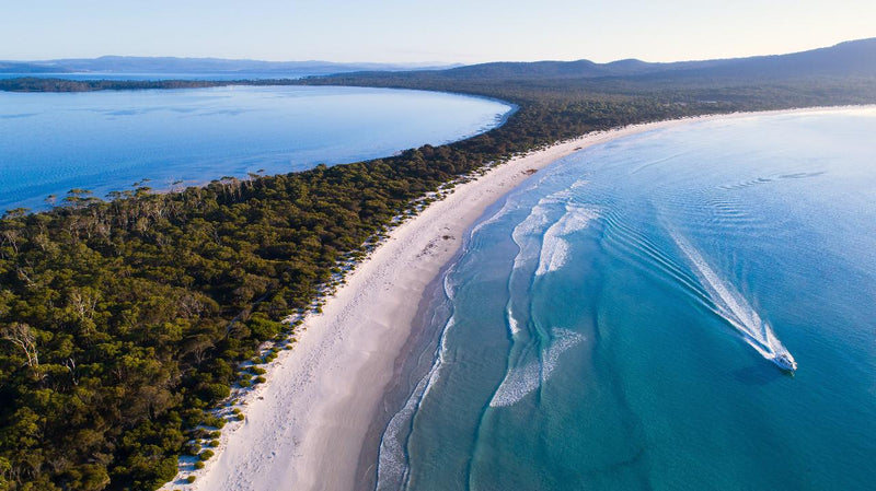 Maria Island Circumnavigation Cruise & Walk Day Tour