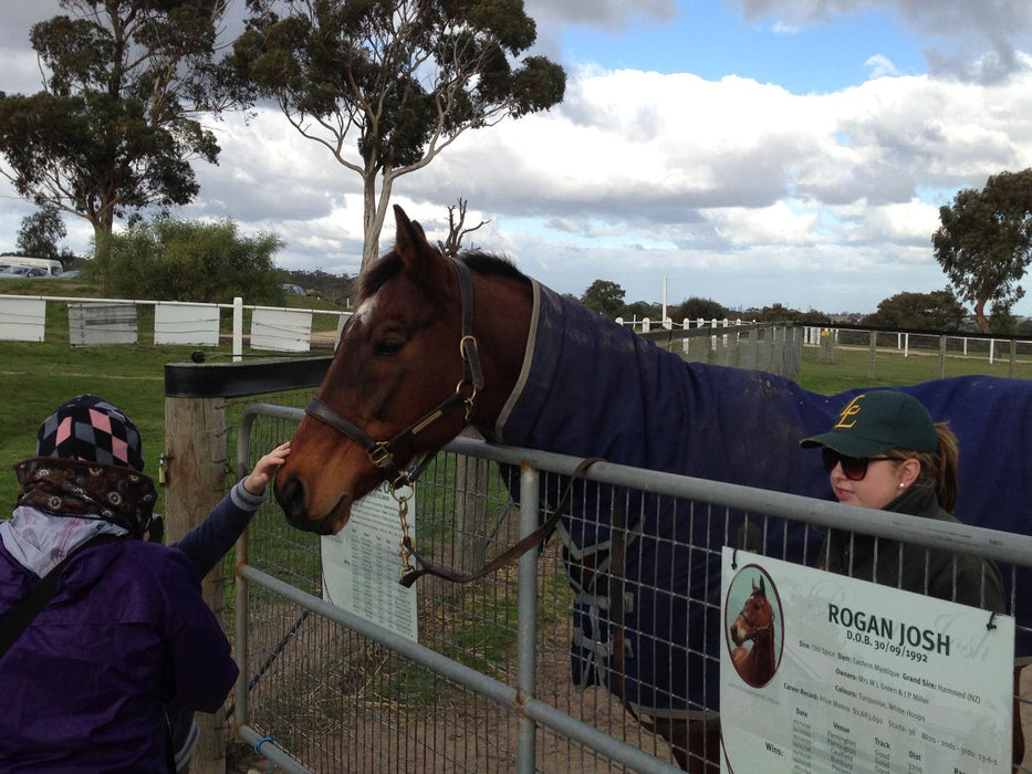 Horses, Wine & Beer Tour