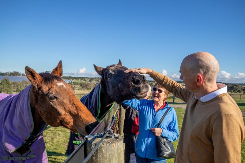 Horses, Wine & Beer Tour