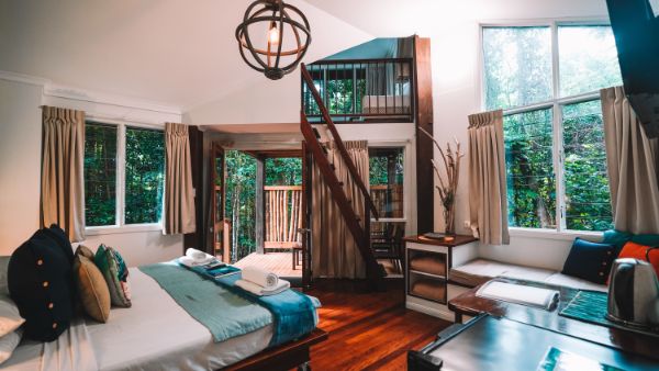 Jungle Stopver At Ferntree Rainforest Lodge