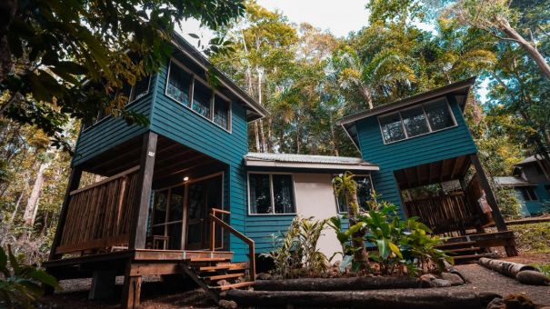 Jungle Stopver At Ferntree Rainforest Lodge