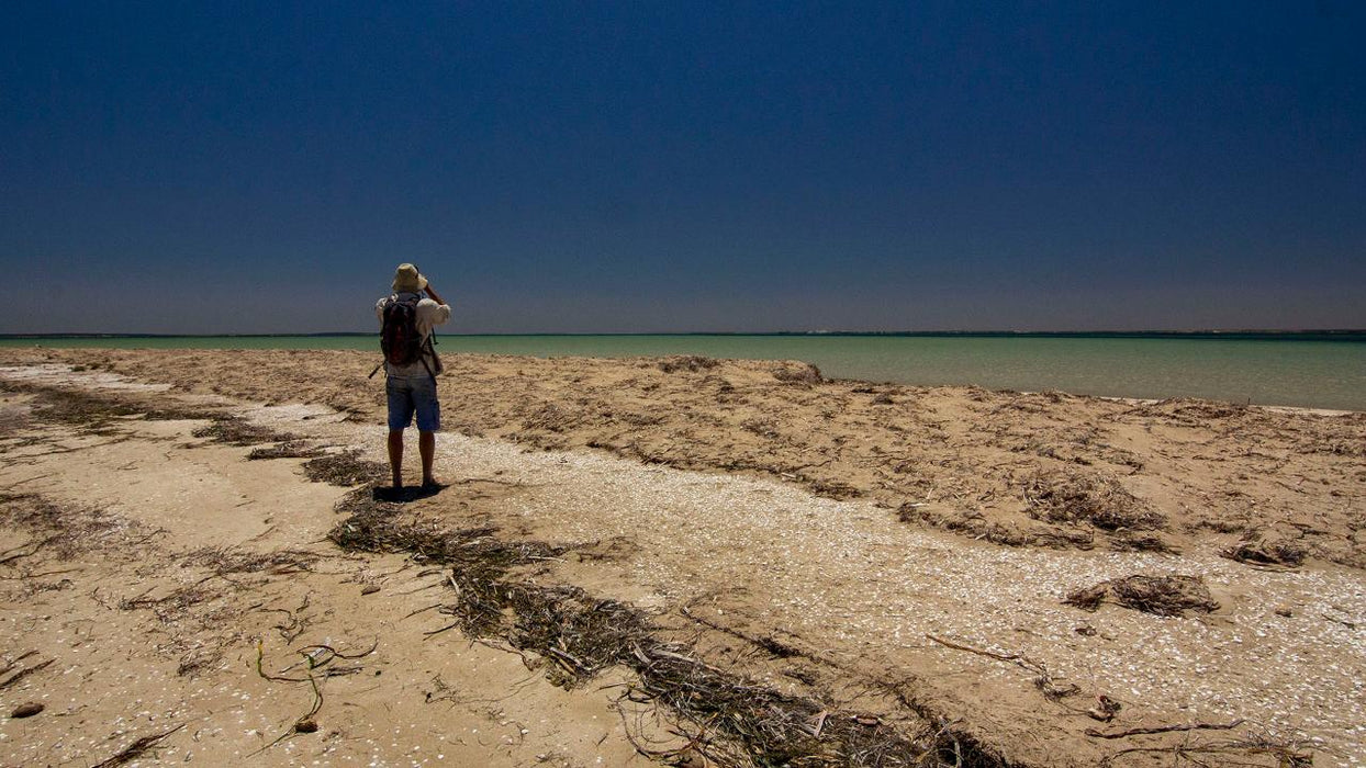 Sea And Sand Coastline Tour