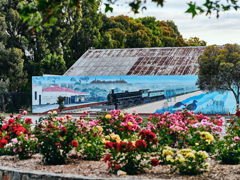 Collie Town Mural Tour Half Day