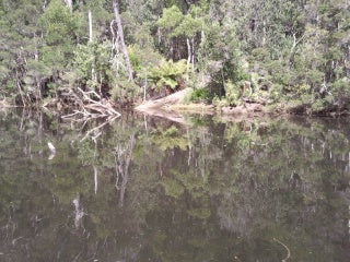 Leven River & History Cruise