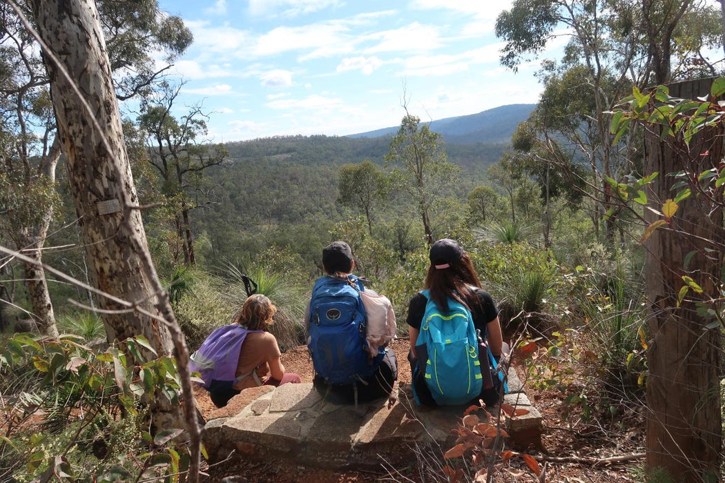 Discover The Bibbulmun - Kalamunda To Mundaring Hiking Experience