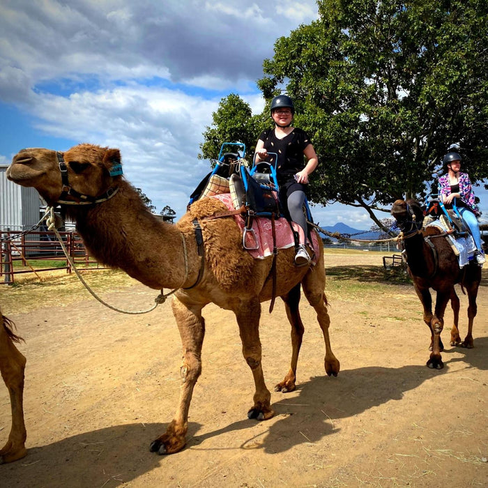 Camel Ride