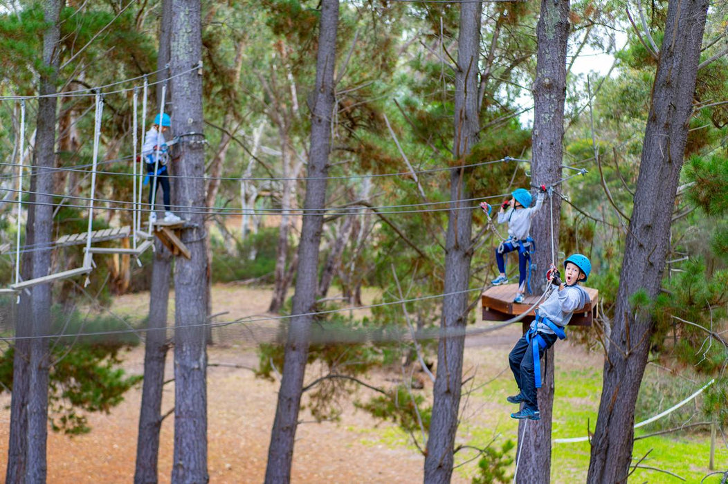 Southern Adventure Hub - Rock Climb & Ropes Course