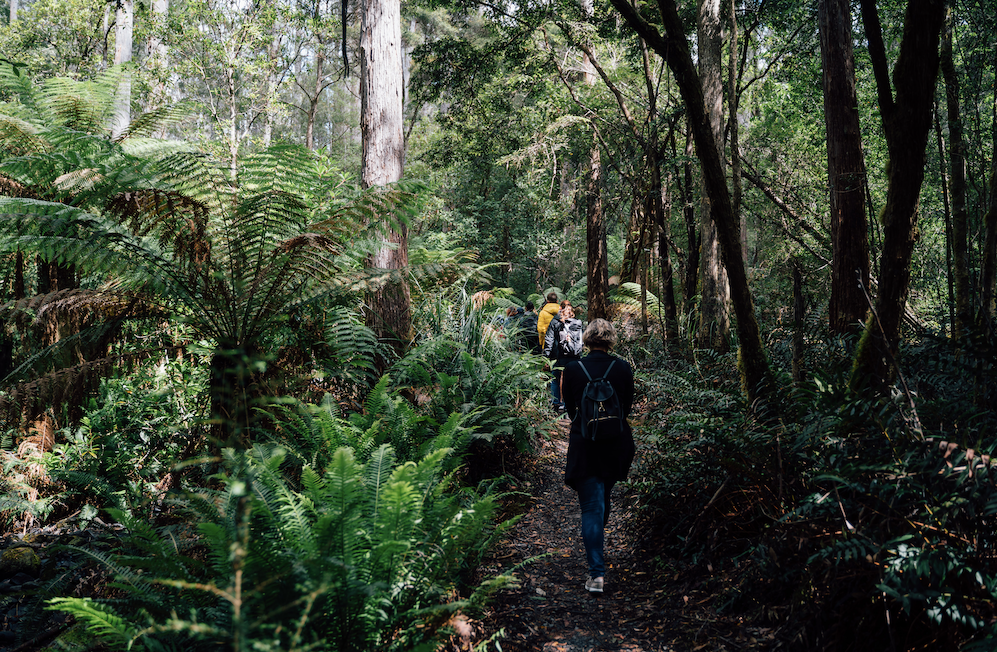 Bruny Island Day Tour