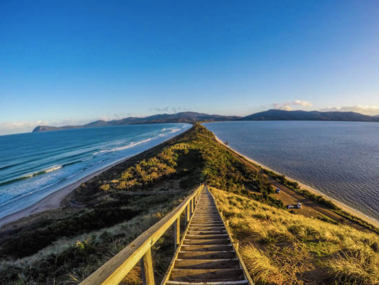 Bruny Island Day Tour