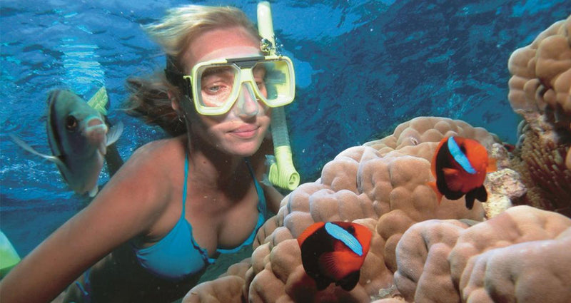 Gold Coast Snorkelling Or Observer