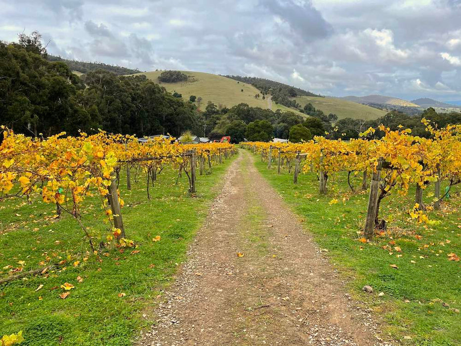 Yarra Valley Wine Tour - Full Day Public Tour