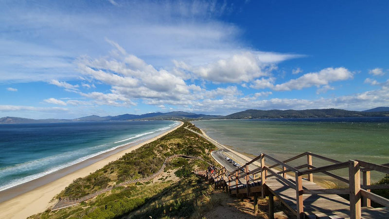 Bruny Island Day Tour