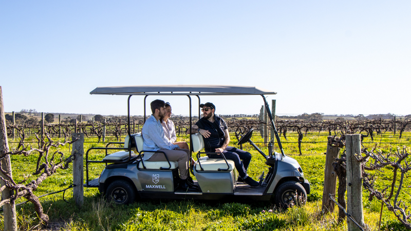 Sip, Savour, And Discover: Mclaren Vale's Sustainable Wine Journey - Private Tour