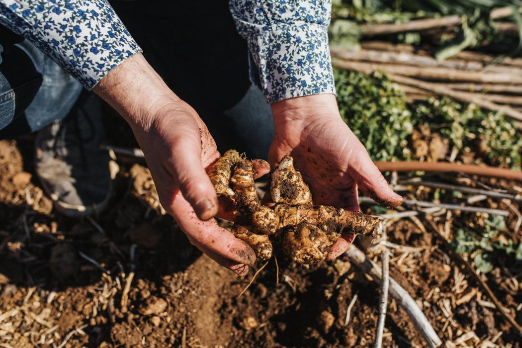 Six Senses Penobscot Farm Tour, Six Course Degustation Dinner With Matched Wines Or Mocktails