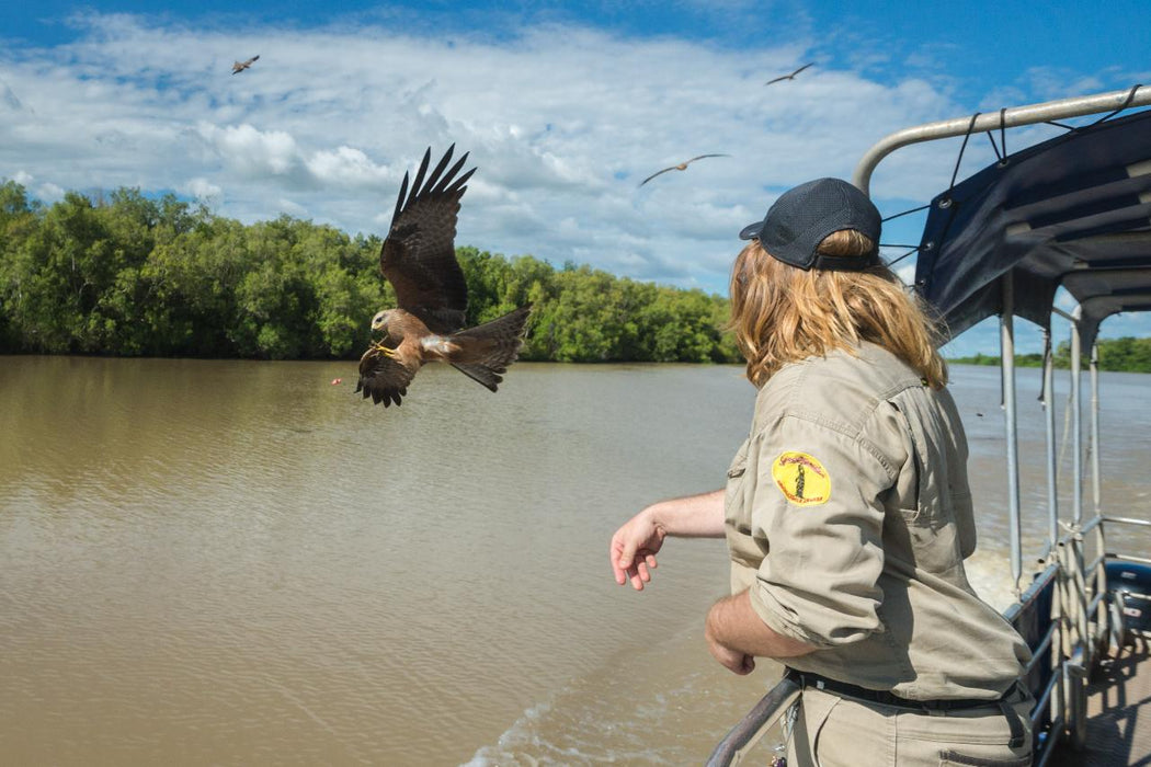 Autopia Tours: Jumping Crocodile Tour From Darwin