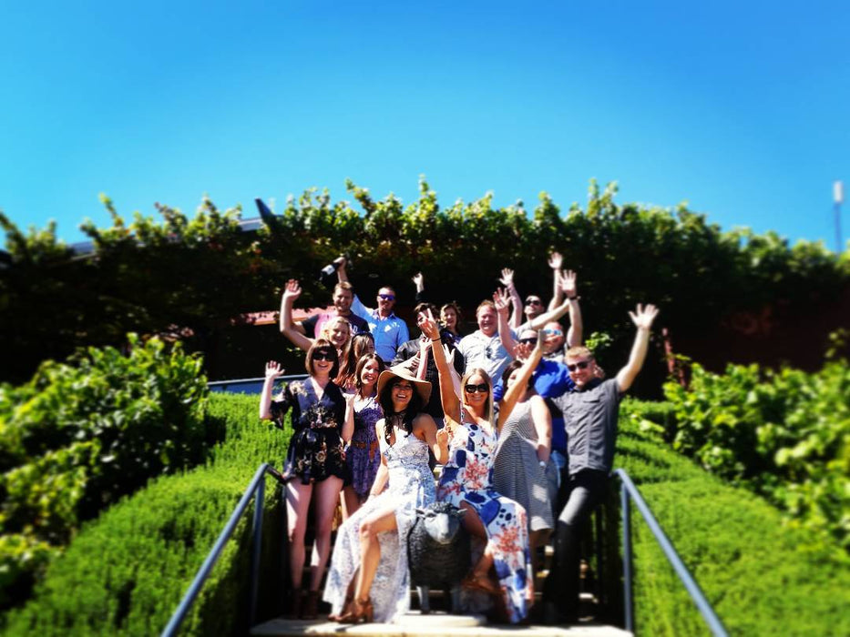 Mclaren Vale Gin & Wine Tour