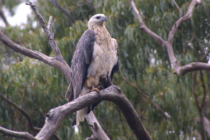 Leven River & History Cruise