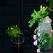 A Grand Contemporary Dining Signature At Bar None - We Wander