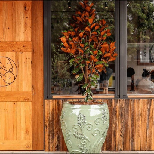 A Refined Dining Experience At Two Blind Mice - We Wander