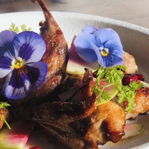 A Tapas And Wine Dining Experience At Casablabla Multicultural Tapas Lounge Bar - We Wander