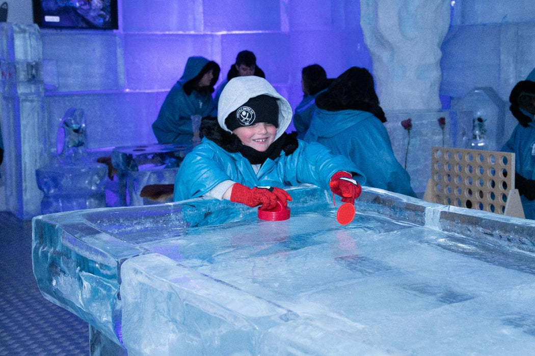 Premium Plus Arctic Experience At Icebar