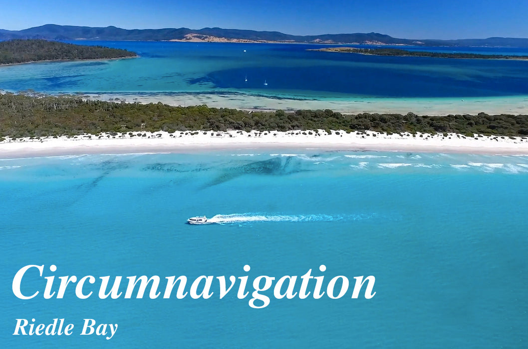 Maria Island Circumnavigation Tour + Hobart Shuttle Bus